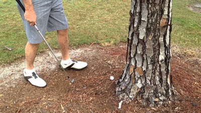 Cómo recuperar una pelota de golf detrás de un árbol

