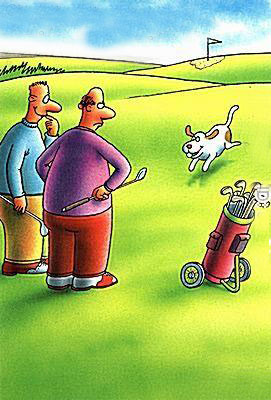 El perro es el mejor amigo del Hombre... ¿y del golfista? 